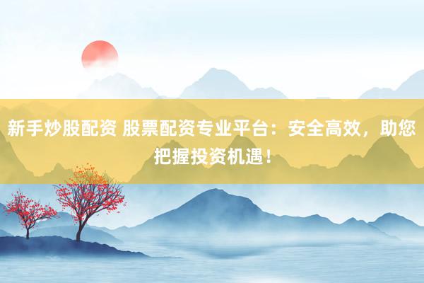 新手炒股配资 股票配资专业平台：安全高效，助您把握投资机遇！
