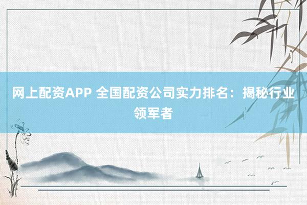 网上配资APP 全国配资公司实力排名：揭秘行业领军者