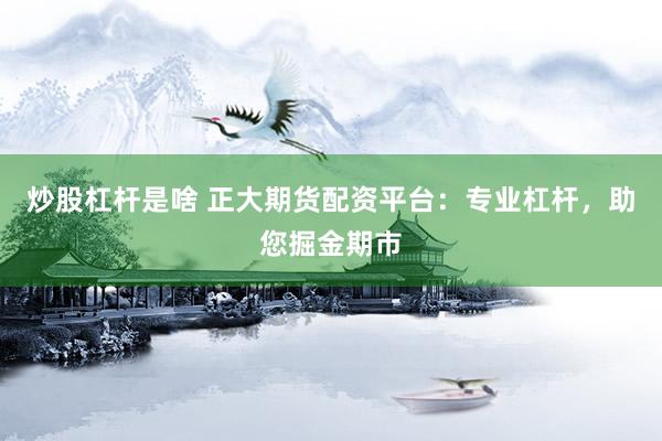 炒股杠杆是啥 正大期货配资平台：专业杠杆，助您掘金期市