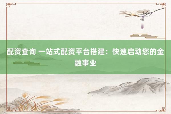 配资查询 一站式配资平台搭建：快速启动您的金融事业