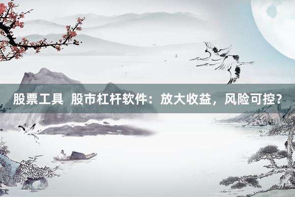 股票工具  股市杠杆软件：放大收益，风险可控？