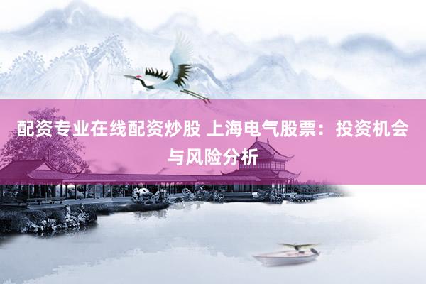 配资专业在线配资炒股 上海电气股票：投资机会与风险分析