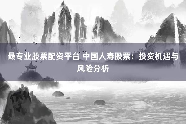 最专业股票配资平台 中国人寿股票：投资机遇与风险分析