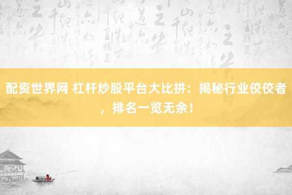 配资世界网 杠杆炒股平台大比拼：揭秘行业佼佼者，排名一览无余！