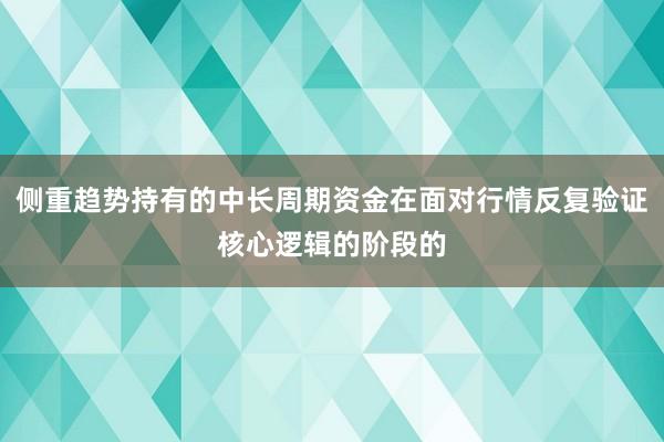 侧重趋势持有的中长周期资金在面对行情反复验证核心逻辑的阶段的