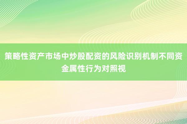 策略性资产市场中炒股配资的风险识别机制不同资金属性行为对照视